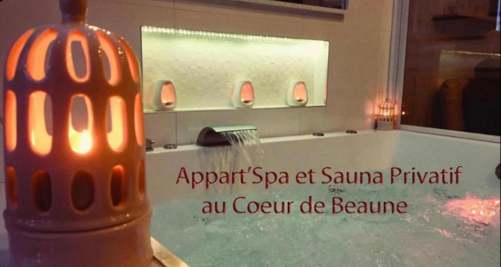 Appart' Spa Et Sauna Privatif Au Coeur De Beaune المظهر الخارجي الصورة
