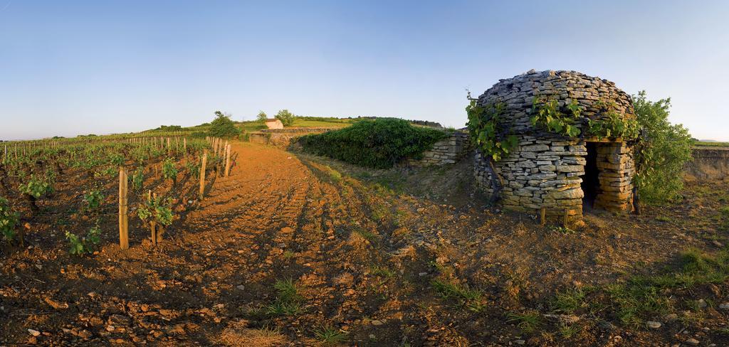 Appart' Spa Et Sauna Privatif Au Coeur De Beaune المظهر الخارجي الصورة