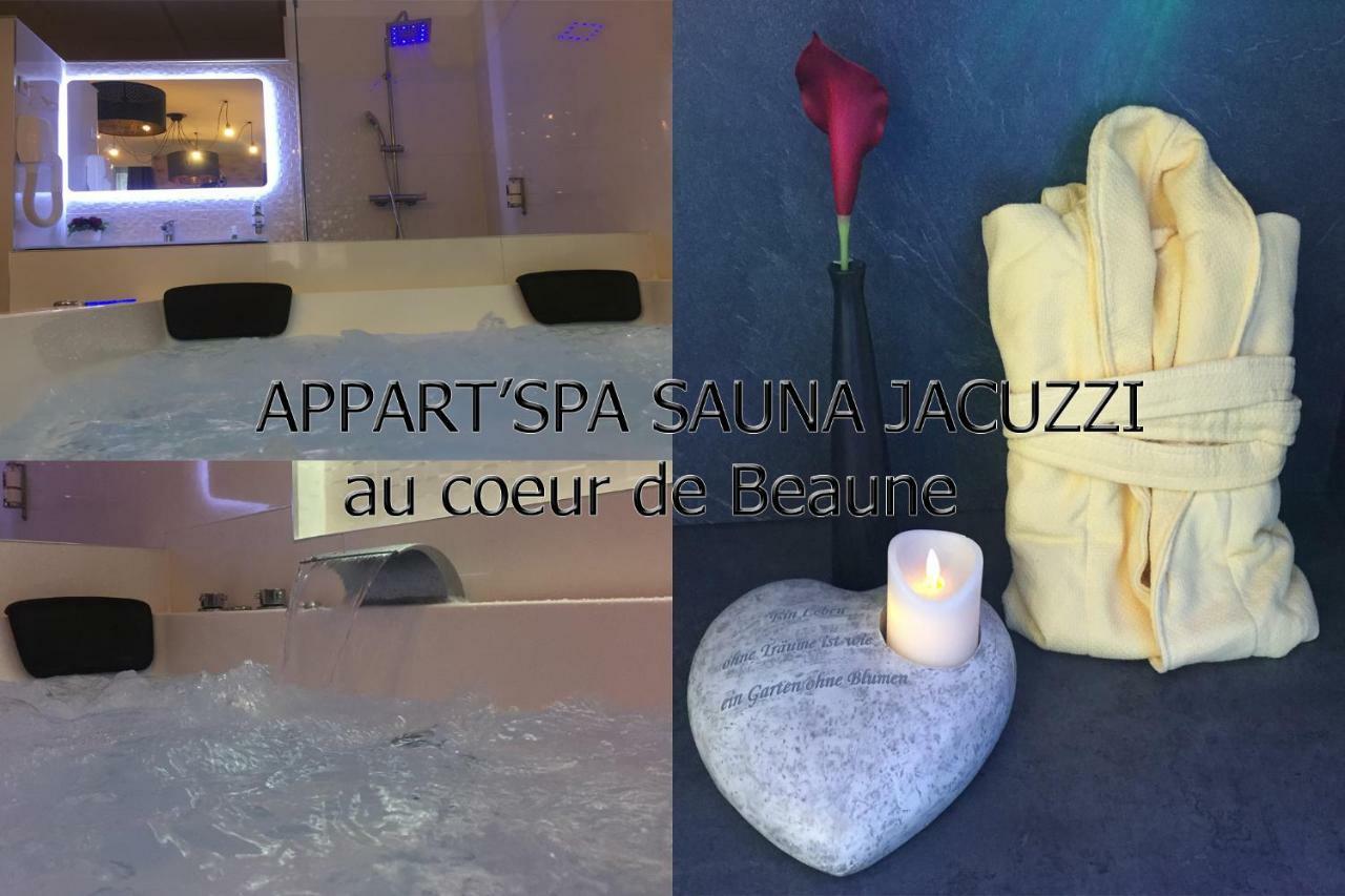 Appart' Spa Et Sauna Privatif Au Coeur De Beaune المظهر الخارجي الصورة